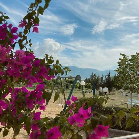 Maria Hotel Radhimë